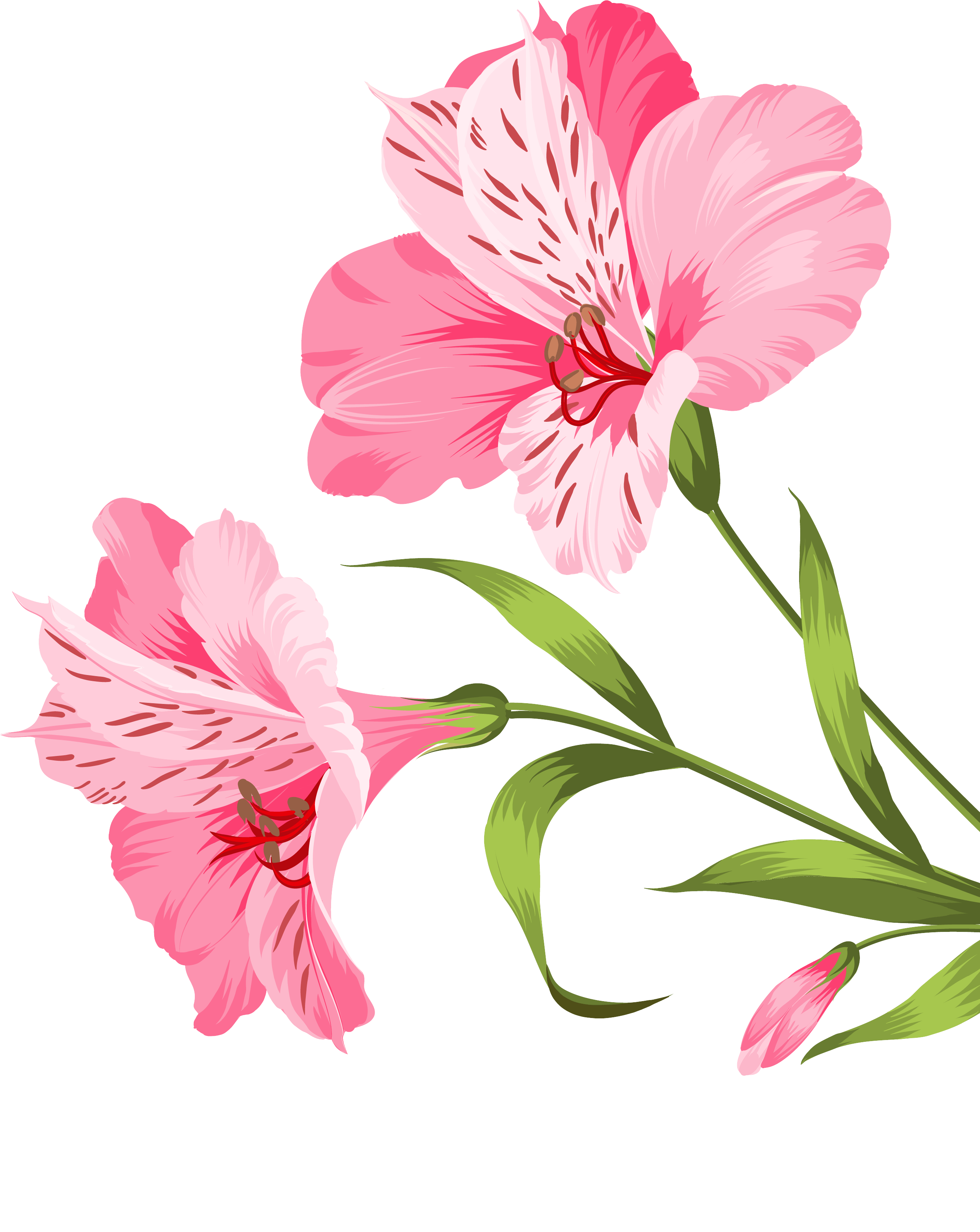 M & D Farms - Spring Flowers