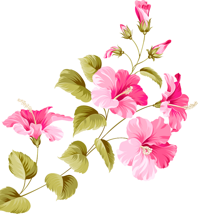 M & D Farms - Spring Flowers M&D